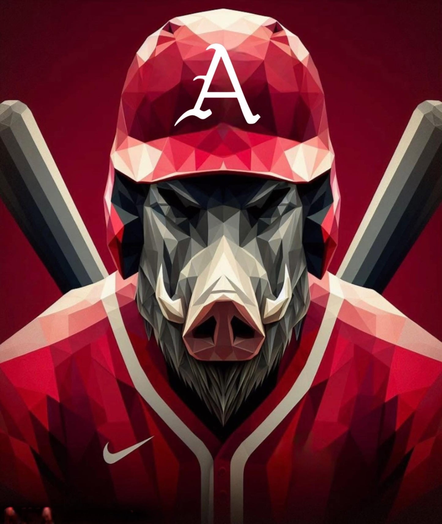Arkansas Baseball 16X20 Canvas Art