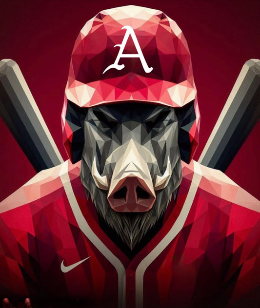 Arkansas Baseball 16X20 Canvas Art